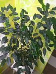     
: IMG_20190529_183004.jpg
: 10
:	119.8 
ID:	13132627