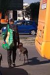     
: IMG_20190529_170252.jpg
: 17
:	150.8 
ID:	13132638