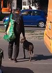     
: IMG_20190529_170253.jpg
: 17
:	117.9 
ID:	13132639