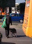     
: IMG_20190529_170253_1.jpg
: 16
:	147.4 
ID:	13132640
