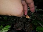     
: IMG_20190528_091534.jpg
: 40
:	92.7 
ID:	13132759