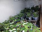     
: IMG_20190528_091425.jpg
: 38
:	136.8 
ID:	13132761