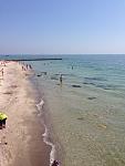     
: IMG_0079.jpg
: 38
:	82.9 
ID:	13133426