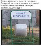     
: 13103196.jpg
: 34
:	283.8 
ID:	13133895