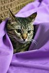     
: DSC_5155.jpg
: 13
:	99.0 
ID:	13134427
