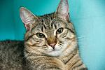     
: DSC_5118.jpg
: 12
:	246.2 
ID:	13134430