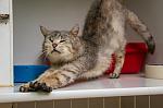     
: DSC_5485.jpg
: 12
:	133.3 
ID:	13134431