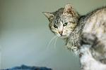     
: DSC_5491.jpg
: 15
:	194.7 
ID:	13134433
