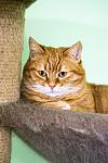     
: DSC_5413.jpg
: 12
:	118.6 
ID:	13134438