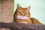     
: DSC_5412.jpg
: 13
:	187.4 
ID:	13134439