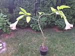     
: 20190606_065004.jpg
: 2
:	203.2 
ID:	13137379