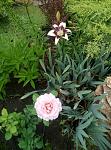     
: P90606-123239.jpg
: 25
:	158.6 
ID:	13137952