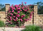     
: P90607-090730.jpg
: 10
:	305.6 
ID:	13138254
