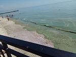     
: IMG_20190608_111252.jpg
: 135
:	116.6 
ID:	13138925