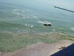     
: IMG_20190608_111248.jpg
: 145
:	136.7 
ID:	13138926