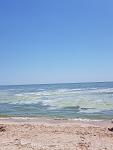     
: 20190608_151226.jpg
: 41
:	90.2 
ID:	13139097