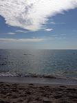     
: IMG_0064.jpg
: 55
:	81.3 
ID:	13139424