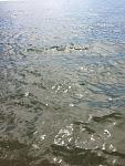     
: IMG_0065.jpg
: 61
:	122.2 
ID:	13139425