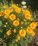     
: 0838736A-D4F5-44D6-BB4F-CC8988557BA3.jpg
: 11
:	100.3 
ID:	13140106