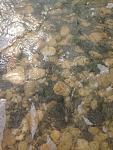    
: IMG_0084.jpg
: 51
:	127.0 
ID:	13140148