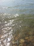     
: IMG_0085.jpg
: 51
:	97.3 
ID:	13140149