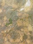     
: IMG_0086.jpg
: 46
:	91.8 
ID:	13140150