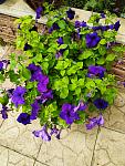    
: IMG_20190610_113526.jpg
: 40
:	186.7 
ID:	13140204