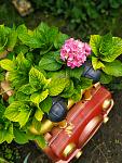     
: IMG_20190609_140706.jpg
: 153
:	130.7 
ID:	13140205