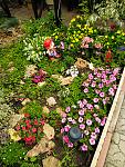     
: IMG_20190610_113507.jpg
: 39
:	260.6 
ID:	13140206