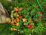     
: IMG_20190610_113519.jpg
: 34
:	303.0 
ID:	13140211