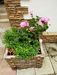     
: IMG_20190610_113433.jpg
: 37
:	142.8 
ID:	13140225