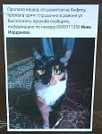     
: IMG_20190611_16223500.jpg
: 27
:	90.4 
ID:	13142275
