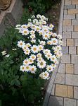     
: P90614-124500.jpg
: 15
:	132.1 
ID:	13143910
