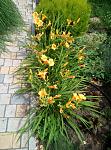     
: P90614-124508.jpg
: 20
:	197.9 
ID:	13143911