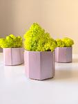     
: _viber_2019-06-14_10-45-2314.jpg
: 22
:	47.0 
ID:	13144488