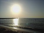     
: 20190616_062636.jpg
: 56
:	125.0 
ID:	13145423