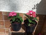     
: 20190617_104537.jpg
: 10
:	169.5 
ID:	13146258