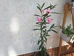    
: 20190617_110353.jpg
: 10
:	203.4 
ID:	13146259