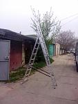     
: attachment (1).jpg
: 25
:	86.3 
ID:	13146342