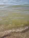     
: IMG_20190617_075630.jpg
: 140
:	83.4 
ID:	13146568