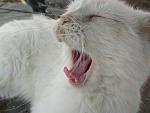     
: IMG_20190619_124522.jpg
: 19
:	85.4 
ID:	13148140