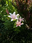     
: P90620-091221.jpg
: 14
:	125.5 
ID:	13148397