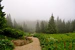     
: DSC_0600.jpg
: 35
:	155.4 
ID:	13149089