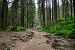     
: DSC_0596.jpg
: 42
:	292.4 
ID:	13149090