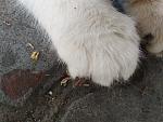     
: IMG_20190619_124549.jpg
: 121
:	138.8 
ID:	13149203