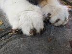    
: IMG_20190619_124545.jpg
: 120
:	121.6 
ID:	13149204