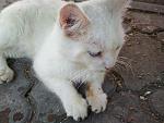     
: IMG_20190619_124529.jpg
: 119
:	128.4 
ID:	13149205