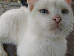     
: IMG_20190619_124519.jpg
: 122
:	68.5 
ID:	13149206