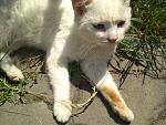     
: IMG_20190621_115106.jpg
: 123
:	184.0 
ID:	13149256