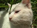     
: IMG_20190621_115126.jpg
: 141
:	159.3 
ID:	13149258